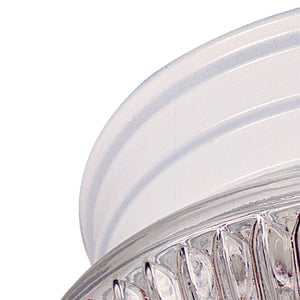 Thomas Lighting Elowen 2 Light Flush Mount Bubble Dome Glass Shade Transitional Ceiling Fixture SL84408
