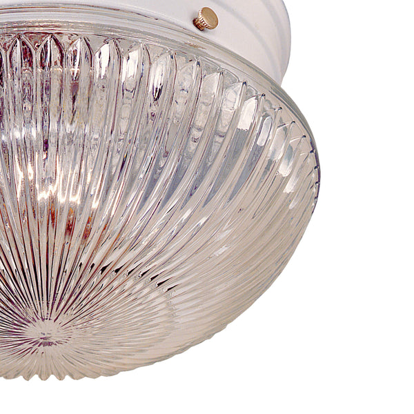 Thomas Lighting Elowen 2 Light Flush Mount Bubble Dome Glass Shade Transitional Ceiling Fixture SL84408