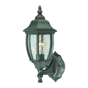Thomas Lighting Covington Matte Metal Outdoor Wall Sconce with Seeded Glass Lantern for Entryways Bronze 14.25 inches SL922363