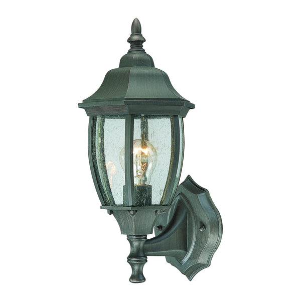Thomas Lighting Covington Matte Metal Outdoor Wall Sconce with Seeded Glass Lantern for Entryways Bronze 14.25 inches SL922363