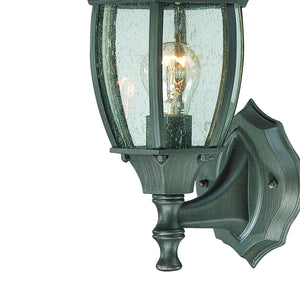 Thomas Lighting Covington Matte Metal Outdoor Wall Sconce with Seeded Glass Lantern for Entryways Bronze 14.25 inches SL922363