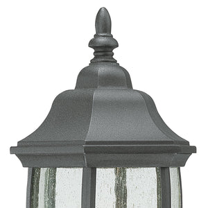 Thomas Lighting Covington Matte Metal Outdoor Wall Sconce with Seeded Glass Lantern for Entryways Black 14.25 inches SL92237