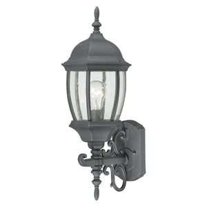 Thomas Lighting Covington Matte Metal Outdoor Wall Sconce with Seeded Glass Lantern for Entryways Black 21.5 inches SL92257