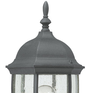 Thomas Lighting Covington Matte Metal Outdoor Wall Sconce with Seeded Glass Lantern for Entryways Black 21.5 inches SL92257