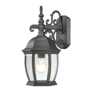 Thomas Lighting Covington Matte Metal Outdoor Wall Sconce with Seeded Glass Lantern for Entryways Black 16 inches SL92287