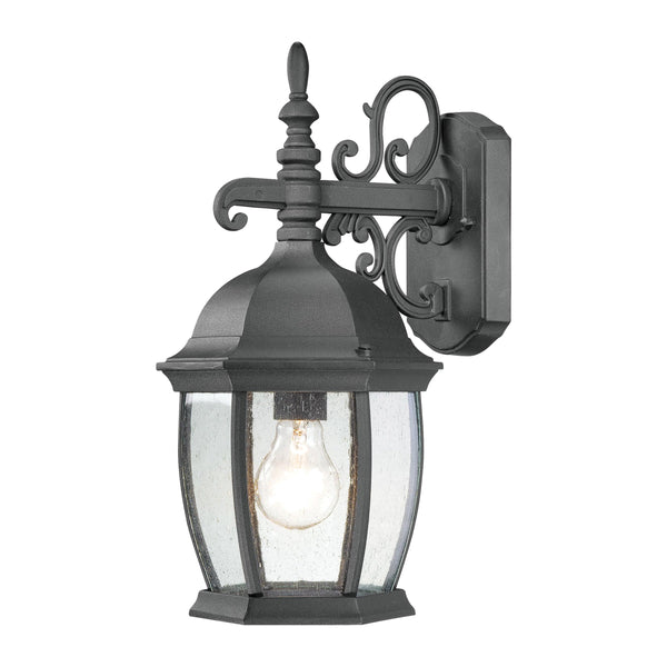 Thomas Lighting Covington Matte Metal Outdoor Wall Sconce with Seeded Glass Lantern for Entryways Black 16 inches SL92287