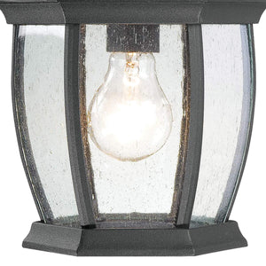 Thomas Lighting Covington Matte Metal Outdoor Wall Sconce with Seeded Glass Lantern for Entryways Black 16 inches SL92287