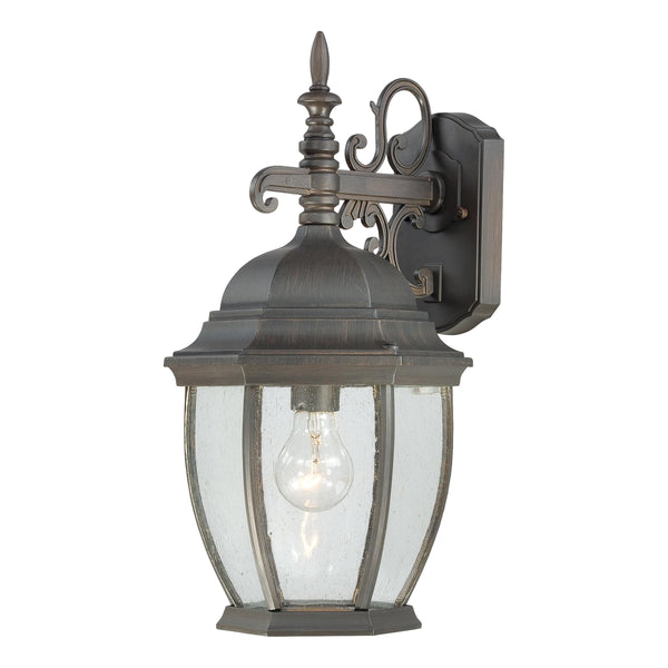 Thomas Lighting Covington Matte Metal Outdoor Wall Sconce with Seeded Glass Lantern for Entryways Bronze 18 inches SL922963