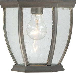 Thomas Lighting Covington Matte Metal Outdoor Wall Sconce with Seeded Glass Lantern for Entryways Bronze 18 inches SL922963