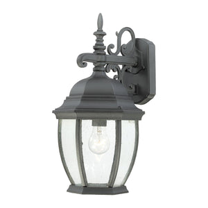 Thomas Lighting Covington Matte Metal Outdoor Wall Sconce with Seeded Glass Lantern for Entryways Black 18 inches SL92297