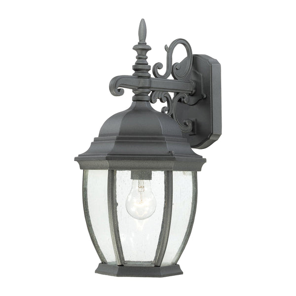 Thomas Lighting Covington Matte Metal Outdoor Wall Sconce with Seeded Glass Lantern for Entryways Black 18 inches SL92297