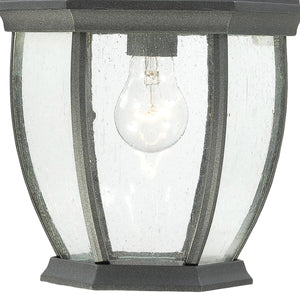 Thomas Lighting Covington Matte Metal Outdoor Wall Sconce with Seeded Glass Lantern for Entryways Black 18 inches SL92297