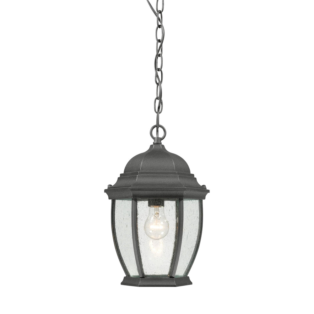 Thomas Lighting Covington Outdoor Seeded Glass Pendant Black Metal Lantern for Porch Entryway SL92337