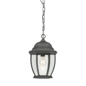 Thomas Lighting Covington Outdoor Seeded Glass Pendant Black Metal Lantern for Porch Entryway SL92337