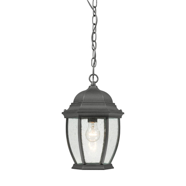 Thomas Lighting Covington Outdoor Seeded Glass Pendant Black Metal Lantern for Porch Entryway SL92337