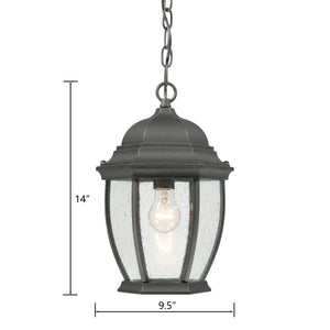 Thomas Lighting Covington Outdoor Seeded Glass Pendant Black Metal Lantern for Porch Entryway SL92337