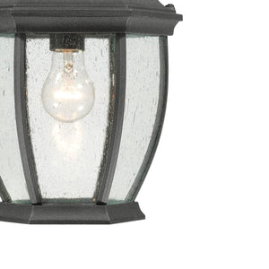 Thomas Lighting Covington Outdoor Seeded Glass Pendant Black Metal Lantern for Porch Entryway SL92337