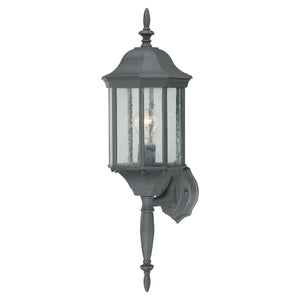 Thomas Lighting Hawthorne Matte Metal Outdoor Wall Sconce Traditional Lantern Glass Panel Porch Light Black 26 inches SL94517