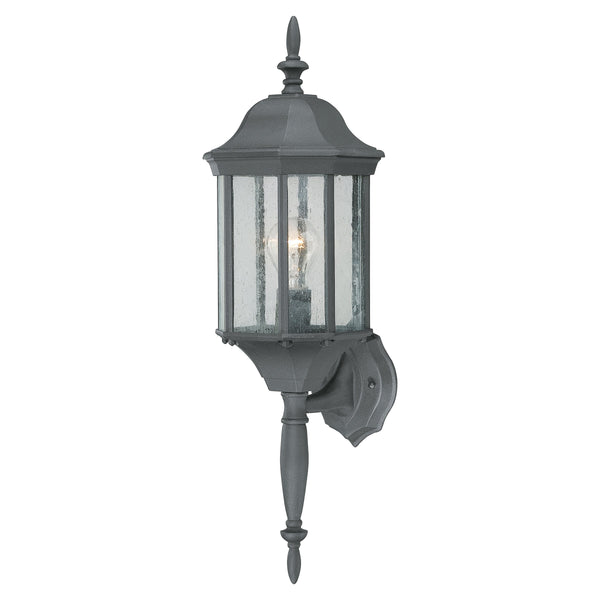 Thomas Lighting Hawthorne Matte Metal Outdoor Wall Sconce Traditional Lantern Glass Panel Porch Light Black 26 inches SL94517