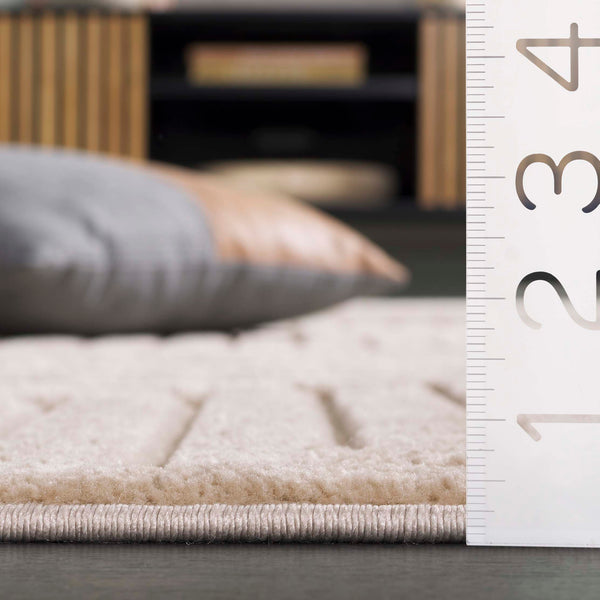 Safavieh Selena Elegant Modern Area Rug - Luxurious Turkish Craftsmanship For Sophisticated Home Décor Beige Polypropylene Sle662b-5