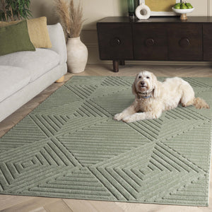 Safavieh Selena Calming Green Area Rug — Low-Profile, Stain-Resistant Polypropylene With Sisal Accents, Durable Elegance 6'-0" x 8'-0" SLE684Y-68