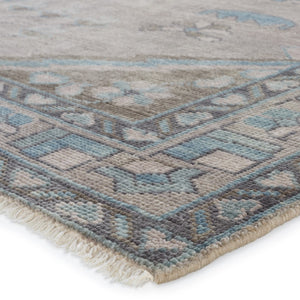 Jaipur Living Salinas Santita Southwestern Global Handmade Indoor Rug Gray 8'6"x11'6"