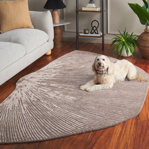 Safavieh Sample Assorted Medium Rectangle Rugs From Ast Collection - Perfect 5' X 8' Area Rug For Your Home! Assorted  Smp503-5