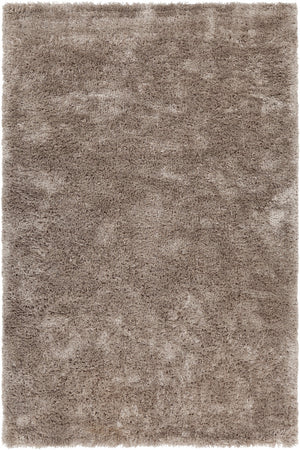Chandra Rugs Hand-woven Luxurious Shag Rug - Modern Comfort & Style For Your Living Space, Unique Texture Taupe Polyester Sof47901-576