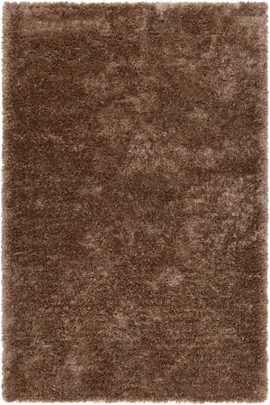 Chandra Rugs Hand-woven Contemporary Shag Rug - Luxurious Texture, Cozy Feel & Modern Design For Your Home Decor Brown Polyester Sof47903-576