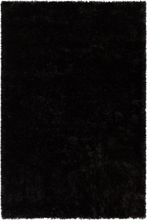 Chandra Rugs Hand-woven Contemporary Shag Rug - Luxurious, Durable, And Plush Textured Accent For Any Room Black Polyester Sof47904-576