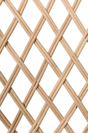 Gigi Hand-woven Natural Rattan Hooded Accent Chair for Sunroom or Porch