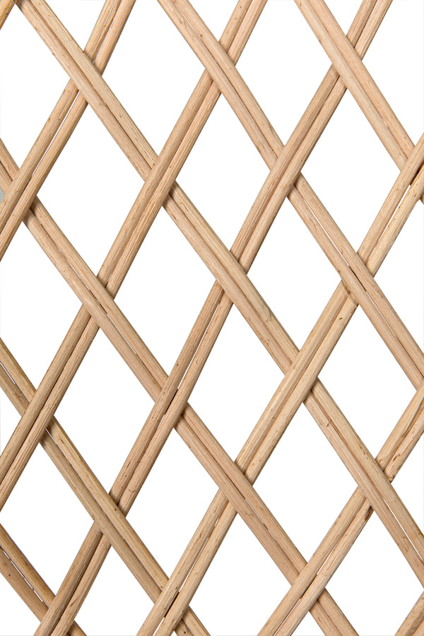 Gigi Hand-woven Natural Rattan Hooded Accent Chair for Sunroom or Porch