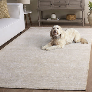 Safavieh Soho Hand-Tufted Beige Area Rug With Viscose-Wool-Cotton Blend, Low Pile Elegance For Any Room 4'-0" x 6'-0" SOH575B-4