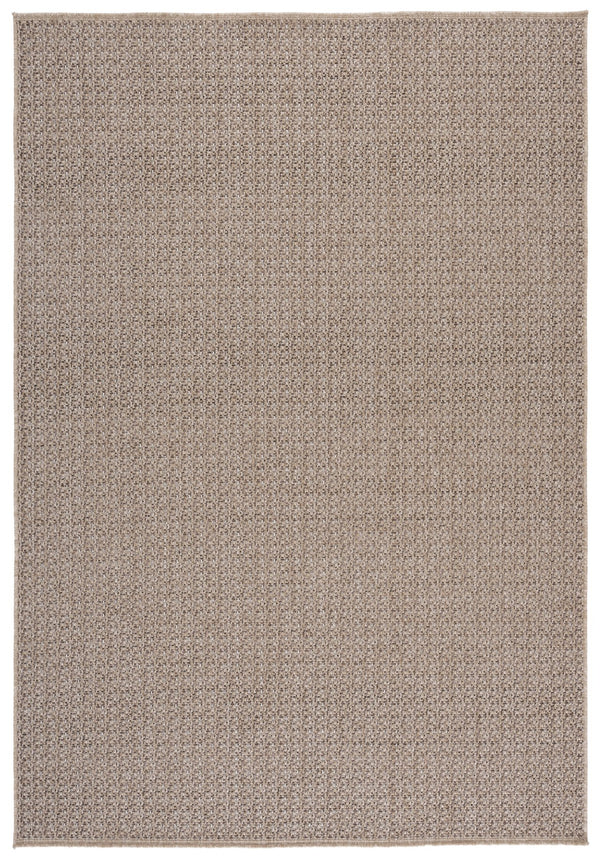 Safavieh Sisal Low-Profile Performance Rug Dark Beige/Beige — Durable, Stain-Resistant Modern Minimalist Rug 4'-0" x 6'-0" SPF110B-4