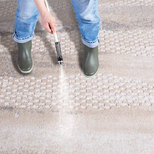 Safavieh Stella Luxurious Polypropylene Rug - Elegant Beige And Grey Design For Modern Home Décor Beige ,Grey Polypropylene Pile Sta105b-7r