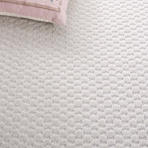 Safavieh Stella Elegant Geometric Area Rug - Versatile Indoor & Outdoor Decor For Timeless Style & Comfort Ivory Polypropylene Pile Sta111b-9