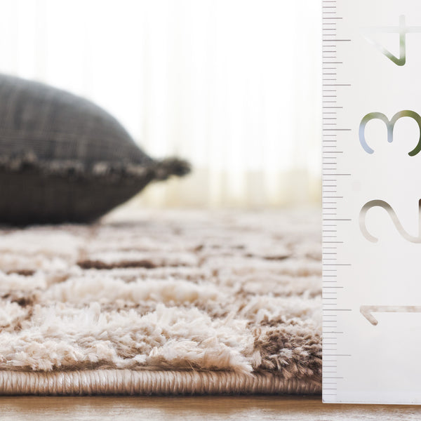 Safavieh Seattle Shag Area Rug - Luxurious Polyester Design In Elegant Ivory And Grey For Modern Spaces Ivory ,Brown Polyester Ste921t-9