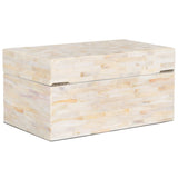 Safavieh Sabryna Set Of 2 Boxes Champagne Faux Mother Of Pearl Wood STG1810A