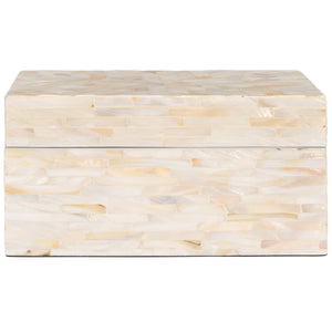 Safavieh Sabryna Set Of 2 Boxes Champagne Faux Mother Of Pearl Wood STG1810A