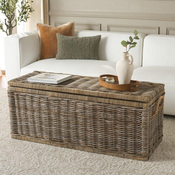 Safavieh Elyse Trunk - Square Rattan Storage Solution In Natural Unfinished Finish For Stylish Organization Natural Unfinished Rattan Stg6506a