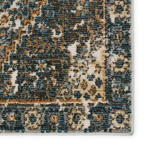 Jaipur Living Vibe by Jaipur Living Julia Medallion Polyester Indoor Outdoor Rug Weathered Turkish Style 8' x 10' RUG153229