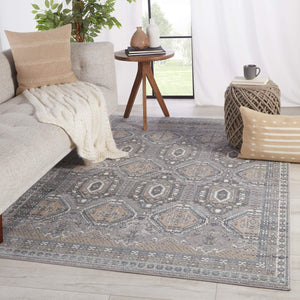 Jaipur Living Vibe by Jaipur Living Trellis Medallion Area Rug High-low Pile Gray Beige Indoor RUG148608
