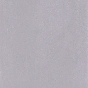 Manhattan Comfort Executor Traditional Dining Chairs - Set of 2 Silver and Walnut DC003-SV