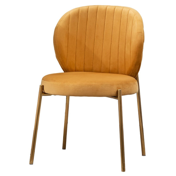 English Elm Amoa Tufted Velvet Dining Chair Set of Two with Gold Legs for Elegant Meals Yellow T2574P164531