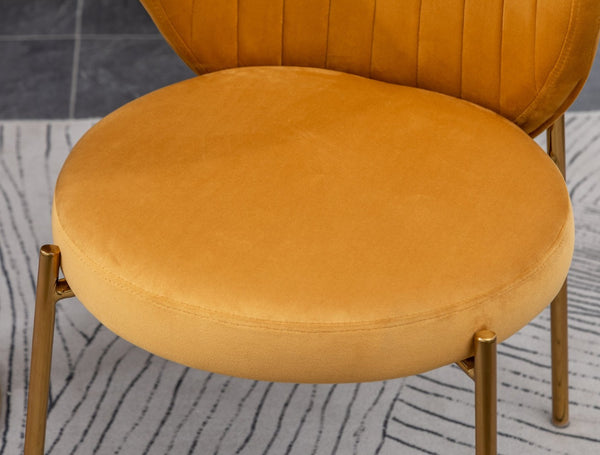English Elm Amoa Tufted Velvet Dining Chair Set of Two with Gold Legs for Elegant Meals Yellow T2574P164531