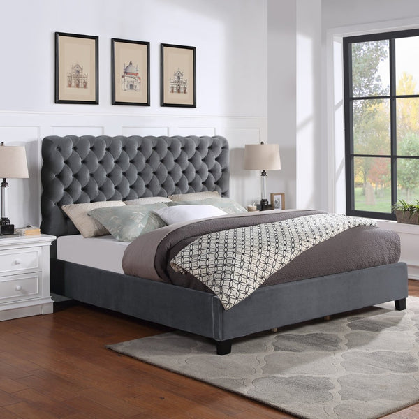 English Elm Roundhill Furniture Apoera Queen Velvet Tufted Headboard Bed with Bun Feet Elegant T2574S00262