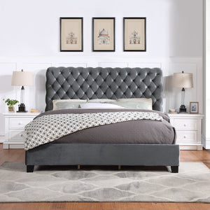 English Elm Roundhill Furniture Apoera Queen Velvet Tufted Headboard Bed with Bun Feet Elegant T2574S00262