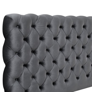 English Elm Roundhill Furniture Apoera Queen Velvet Tufted Headboard Bed with Bun Feet Elegant T2574S00262