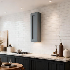 English Elm Dark Gray Shaker Wall Cabinet Solid Wood Single Door Adjustable Shelves Bathroom Kitchen T2950P390289