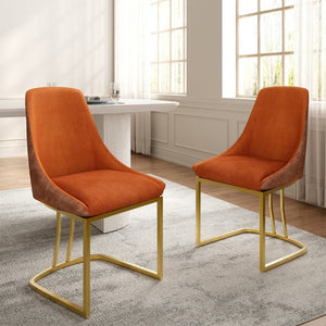 English Elm Modern Two-Tone Upholstered Dining Chairs with Slim Metal Legs for Contemporary Spaces Set of 2 T3609P548693